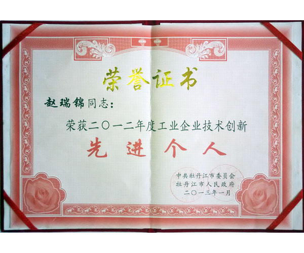 2012年先進(jìn)個(gè)人榮譽(yù)證書(shū)